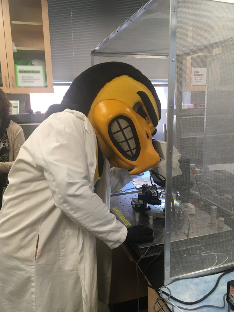 Herky in the lab